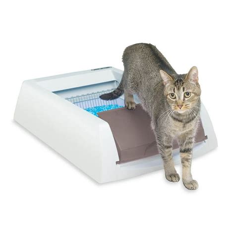 electric litter box walmart|disposable cat litter boxes Walmart.